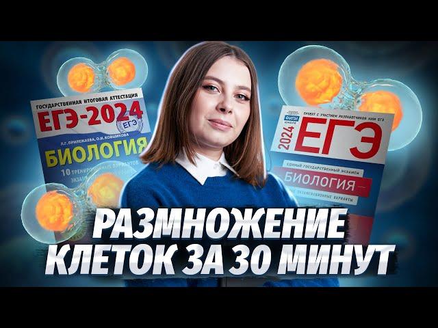 Митоз и мейоз за 30 минут | Биология ЕГЭ для 10 класса | Умскул