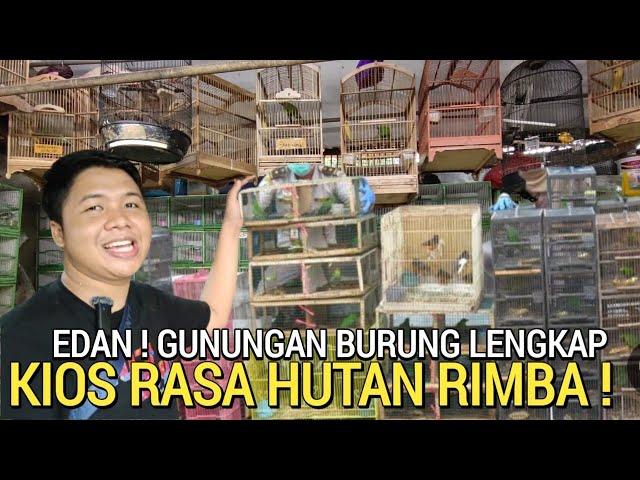 VIRALKAN ! KIOS BURUNG RASA HUTAN RIMBA HARGA MURAH PASAR BURUNG PRAMUKA HARI INI KIOS SIGIT