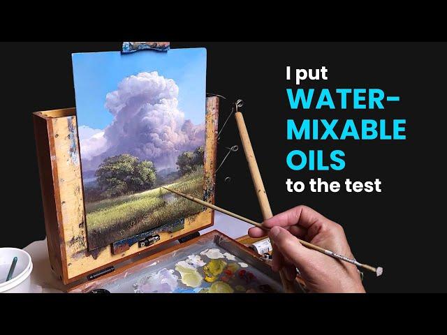 I tested water mixable oils against real oils #solventfreeoilpainting