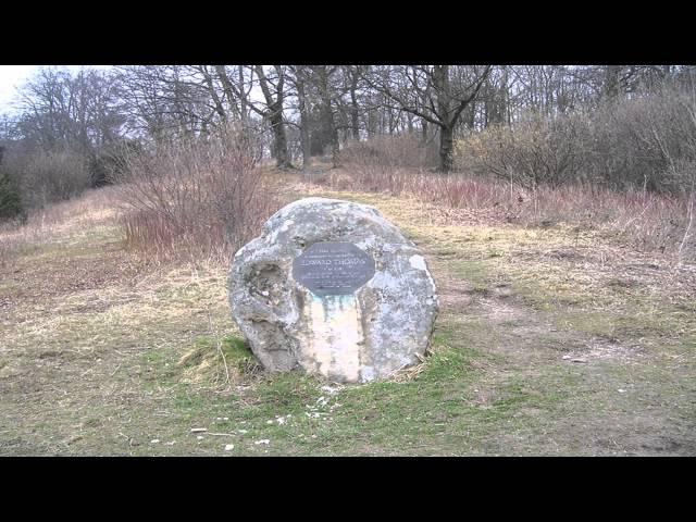 Ashford Hangers national nature reserve Liphook Hampshire