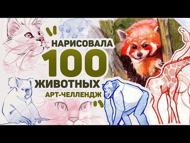 Рисую 100 ЖИВОТНЫХ за 3 ДНЯ // Арт Челлендж