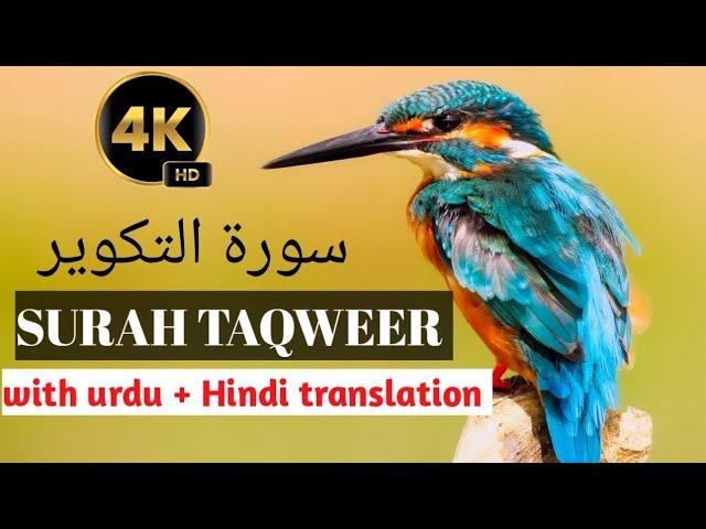 Surah taqweer  |  Tarjuma tul quran • voice by hafiz muhammad usman naeem