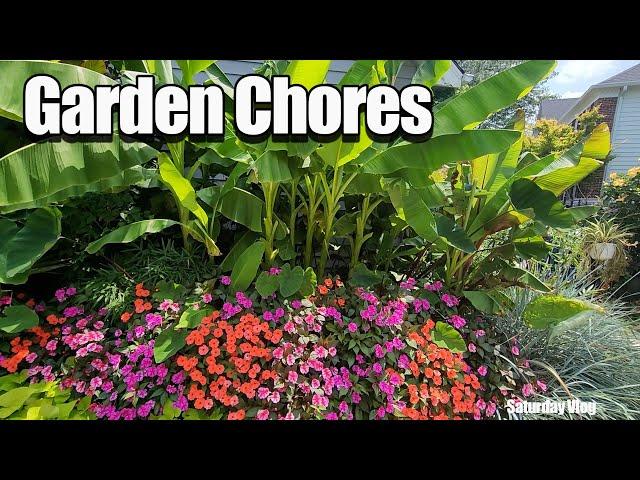 Garden Chores! Hanging Baskets || Pruning Palms & Bananas || Weeding || Lowes ||  Saturday Vlog