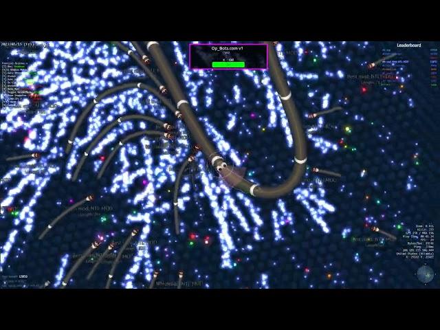 Slither.io Best NTL MOD glitch