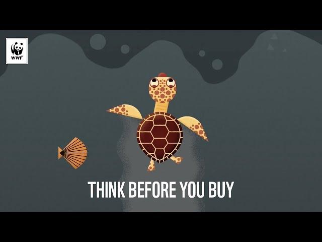 Hawksbill Turtles on The Brink of Extinction | WWF-Australia