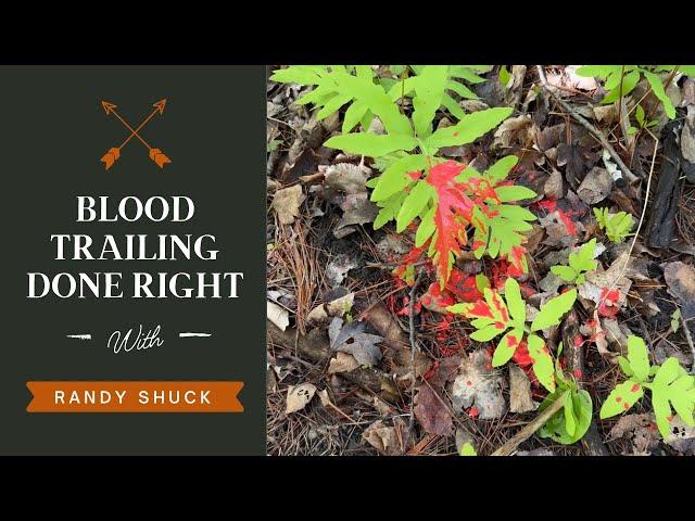 Blood Trail A Deer The RIGHT WAY! Arcing, Dog Tracking, and More