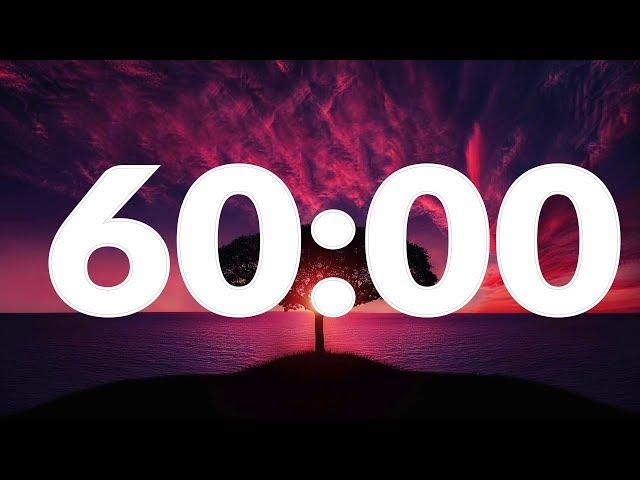 60 Minute Timer with Alarm, without music