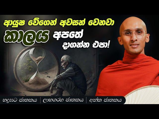 148. කාලය අපතේ දාගන්න එපා! | භද්‍රඝට ජාතකය | ලාභගරහ ජාතකය | අන්ත ජාතකය | 2023-10-19