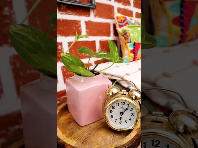 5 Kitchen items that I use in homedecor #shorts #homedecor #indianhomedecor #kitchenitems #decor