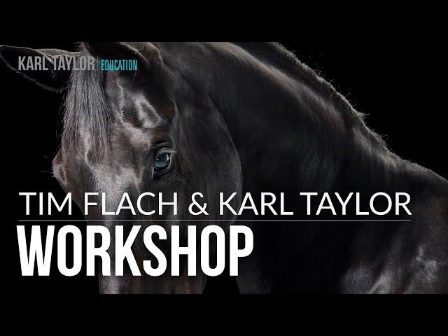 An incredible workshop with Karl Taylor and Tim Flach (March 2020)