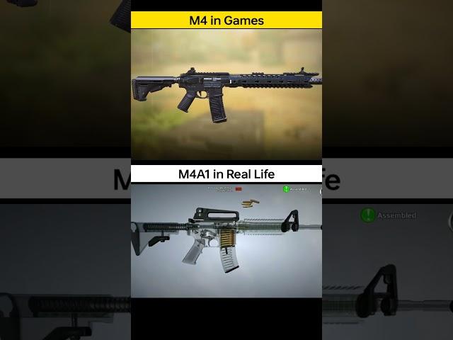 M4 or M16? Guess The Gun