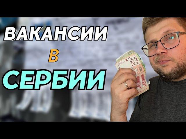 Работа в Сербии для россиян в 2024 году. Обзор вакансий не в IT