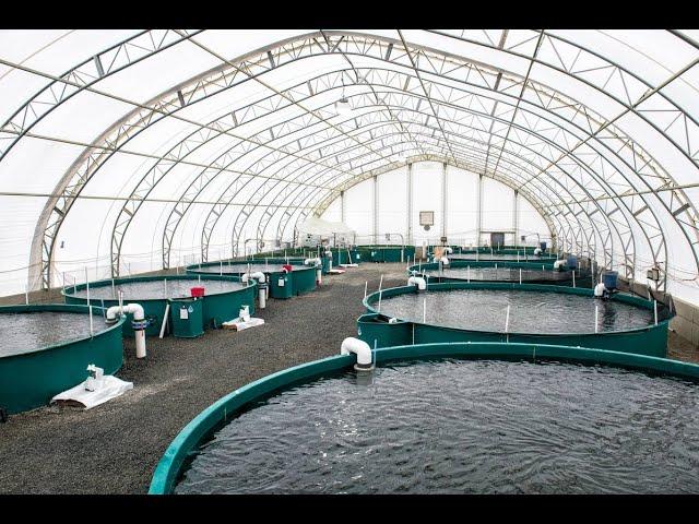 Botswana Fish Farming (Aqua Culture)