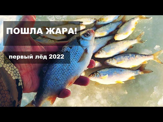 Плотва на безмотылку. Первый лёд 2022. Рыбалка в Нижегородской области. Безнасадка. Открытие сезона.