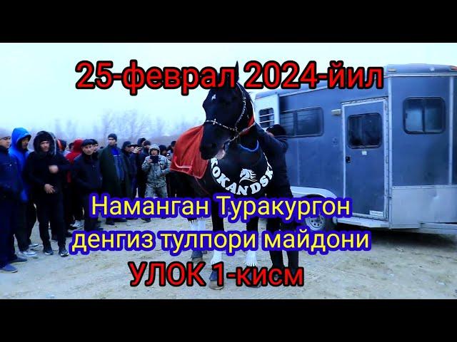 25 феврал 2024 НАМАНГАН денгиз тулпори Улок 1-кисм