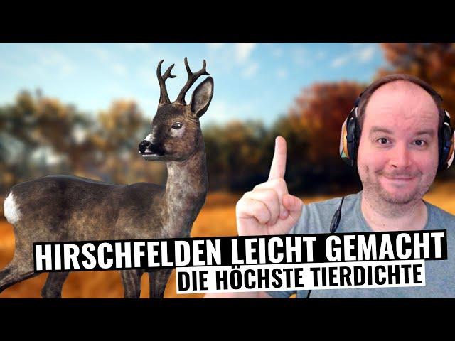 Hirschfelden leicht gemacht, Spot mit der höchsten Tierdichte! || theHunter Call of the Wild