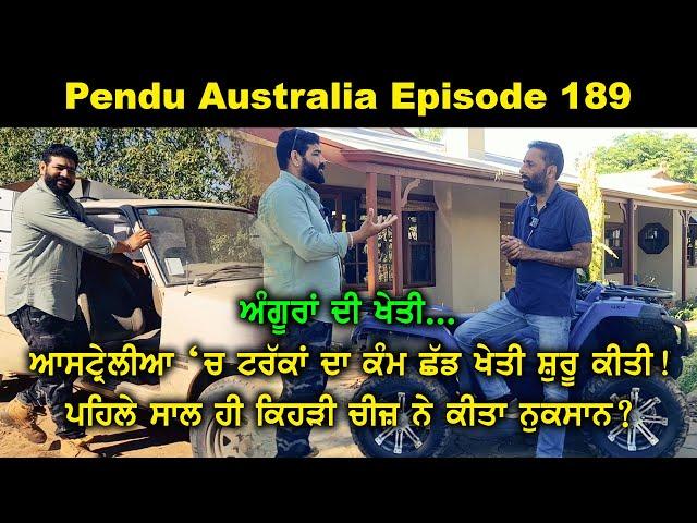 Punjabi Farmer In Australia ~ Table Grapes Farming ~ Mintu Brar ~ Pendu Australia Episode 189