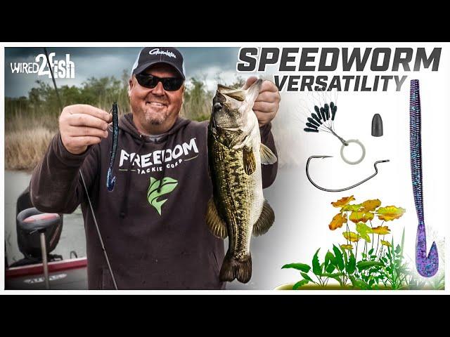 Catch More Bass with the Ultimate Speed Worm Setup