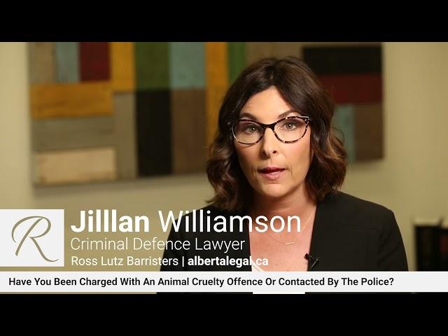 Animal Cruelty Explained By Jillian Williamson