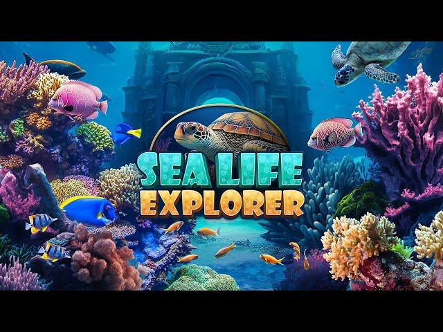 Sea Life Explorer | Hidden Object Games | iWin