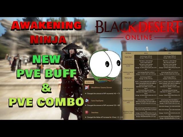 BDO |  Awakening Ninja PVE BUFF/ End Game PVE Combo | for 2024!