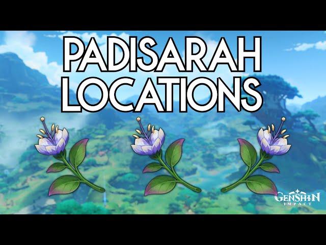 Padisarah Locations - Genshin Impact