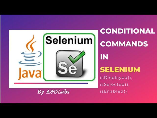 isSelected(), isEnabled(), isDisplayed() | Conditional Commands in Selenium | Java Automation