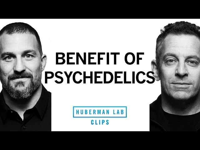 The Utility of Psychedelics | Dr. Sam Harris & Dr. Andrew Huberman