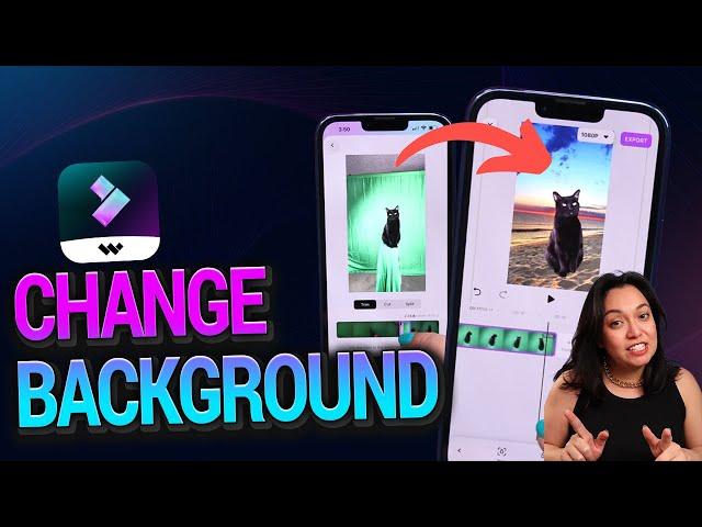 How to change video background to put your cat anywhere | FilmoraGo Mobile Editing Tutorial