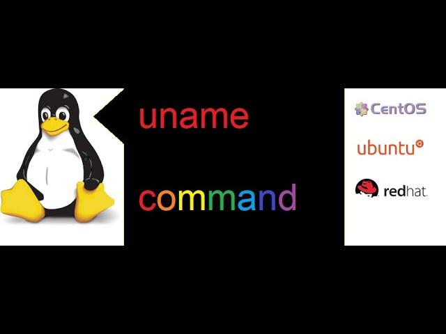 How to check system kernel, os , archi, hardware details in rhel redhat linux using commands uname