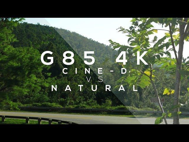 Cinelike-D vs. Natural in 4K || Panasonic G85 Test || Non-Scientific Samples