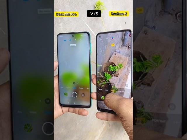 Realme 8 vs Poco M2 Pro camera comparison | realme 8 camera test #Shorts