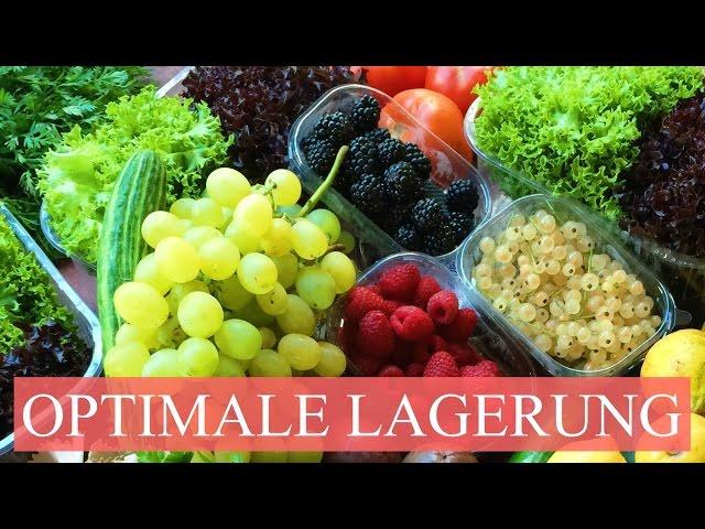 OPTIMALE LAGERUNG FUER OBST UND GEMUE  SE (SALATE BIS ZU 2 WOCHEN KNACKIG)