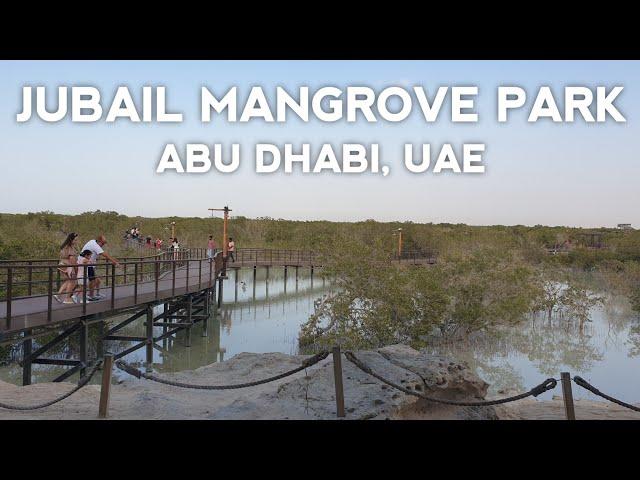 JUBAIL MANGROVE PARK WALK TOUR | VIRTUAL EXPLORER