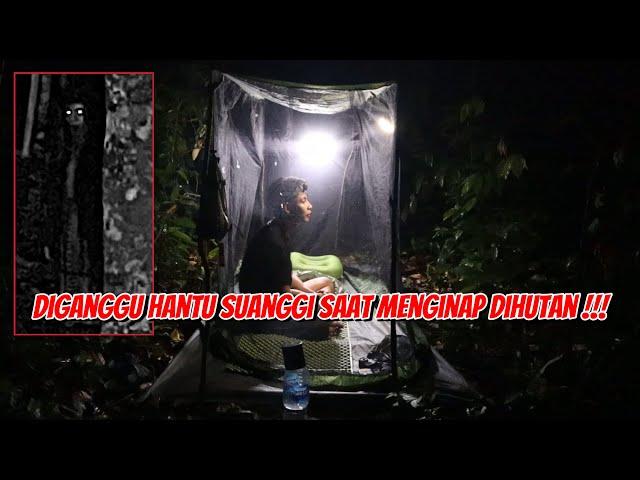 JANGAN KELUAR !!! ITU SUARA HANTU SUANGGI.