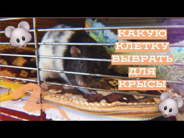 ВЫБОР КЛЕТКИ ДЛЯ КРЫС / КАКУЮ КЛЕТКУ КУПИТЬ ДЛЯ ДЕКОРАТИВНЫХ КРЫС?