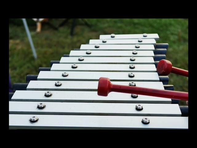 Percussion Instruments, The Xylophone Relaxing Music