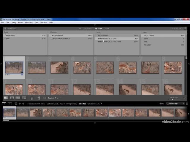 adobe lightroom Working with the Filmstrip