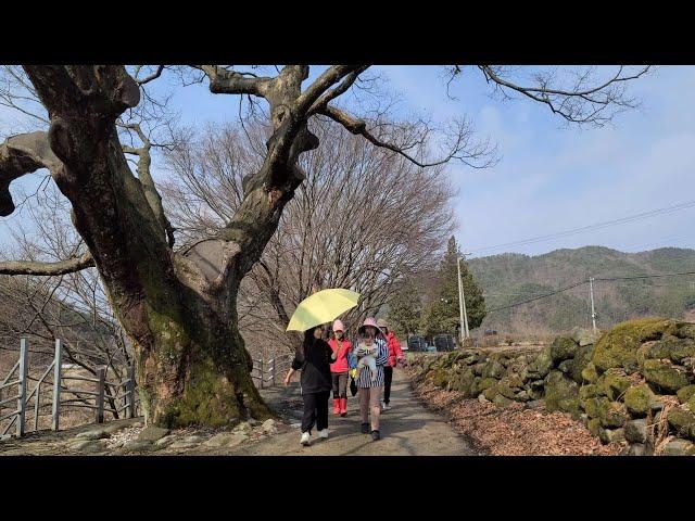 산골 손님접대는 숯불에 돌판과 솥뚜껑 요리로 /The day a baby came to visit a mountain village in spring #산골손님대접 #산골오빠