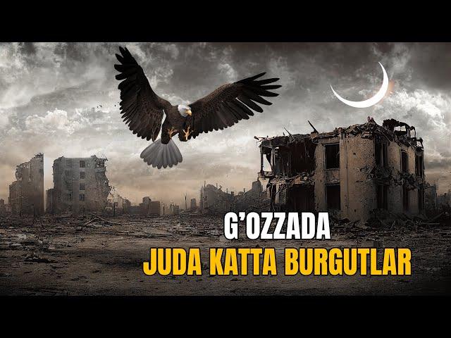 Tushumda g'ozzada juda katta burgutlar yurgan ekan..? | Ustoz Abdulloh Zufar