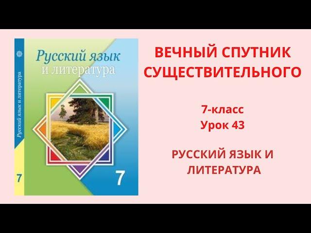 Русский язык 7 класс урок 43 Вечный спутник существительного