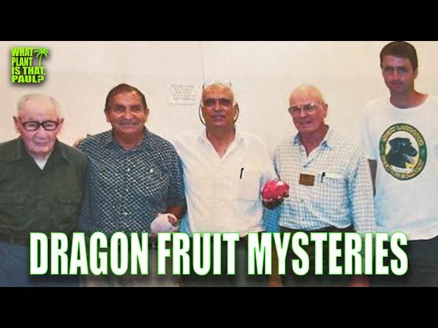 DRAGON FRUIT MYSTERIES SOLVED / IS JADE RED an Edgar Valdivia HYBRID / Israeli DRAGON FRUIT PROGRAM