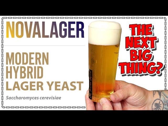 NOVALAGER Yeast - The next BIG thing in brewing??? Lallemand - Zamba Hops - Bintani - Lager Yeast