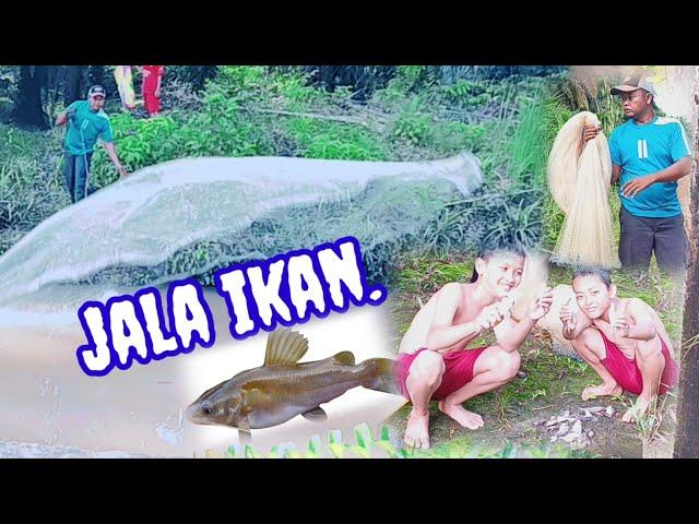 ALHAMDULILLAH !! DI SORE HARI JALA IKAN DAPAT ANAK IKAN BAUNG@mang tomo channel