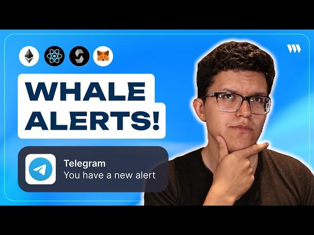 Build a Whale Alerts Telegram Bot with Thirdweb Insight | Step-by-Step Guide