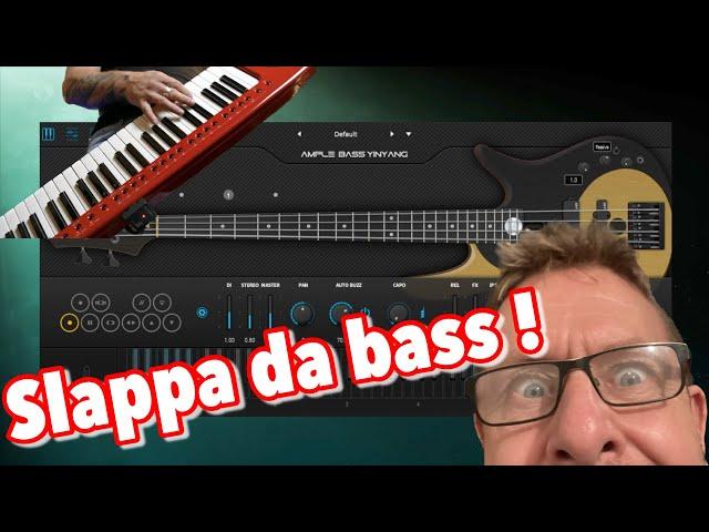 AmpleSound YinYang Bass Guitar Quick Look !