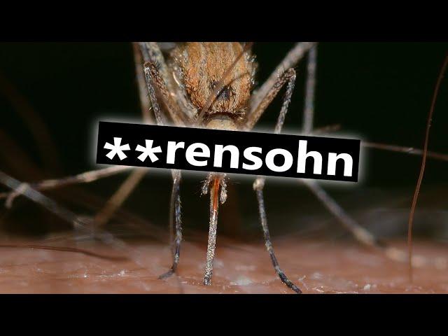 Mücken die **rensöhne