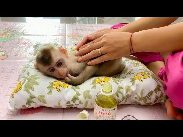 Monkey Puka is well taken care of by his Mother, helping him reduce his fatigue