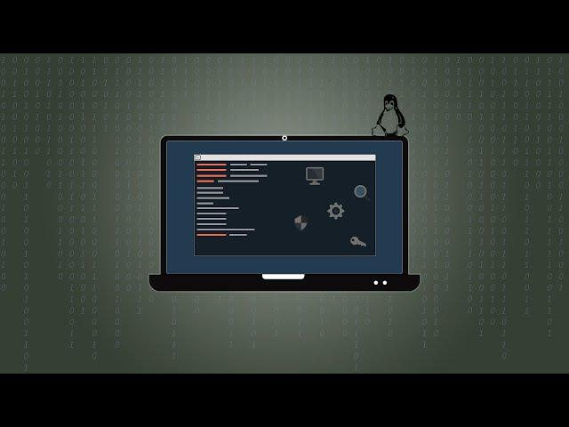 FREE Hacking Course: Go from Beginner to Advanced!