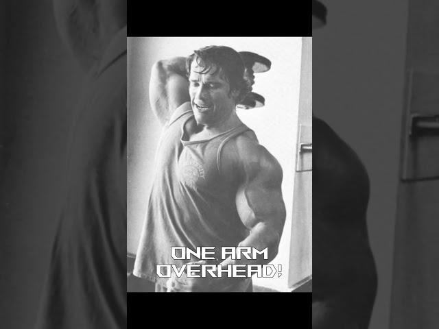 Arnold Triceps!